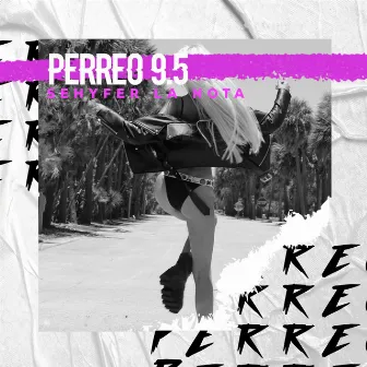 PERREO 9.5 by 