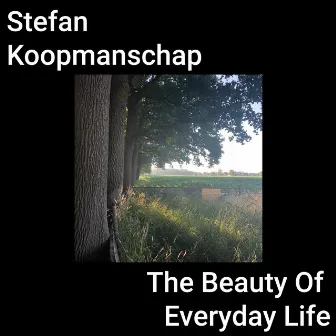 The Beauty of Everyday Life by Stefan Koopmanschap