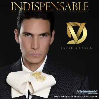 Indispensable by David Vargas