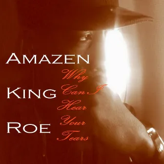 Why Can I Hear Your Tears (feat H.G. Hustla & Young Miss) by Amazen King Roe