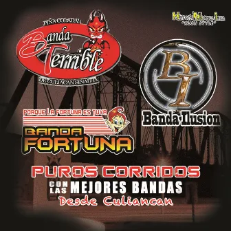 Puros Corridos Con las Mejores Bandas Desde Culiacan by Banda Terrible