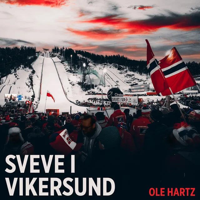 Sveve i Vikersund