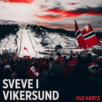 Sveve i Vikersund by Ole Hartz