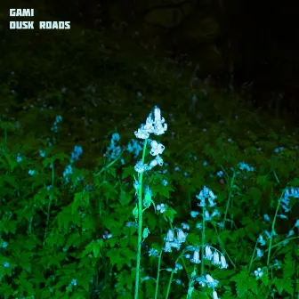 Dusk Roads by Gami