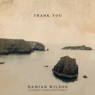 Thank You by Damian Wilson