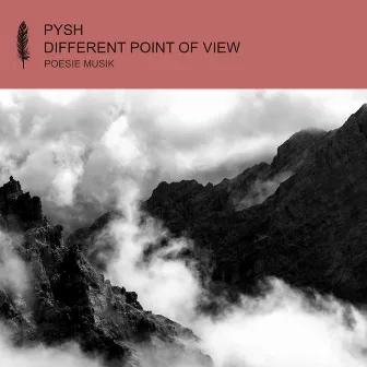 Different Point of View by Pysh