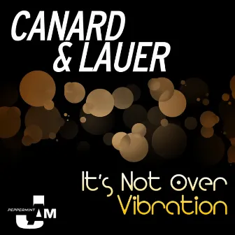 It's Not Over / Vibration by Lauer