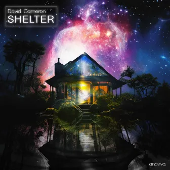 Shelter by David Cameron