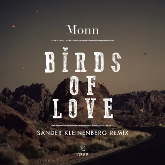 Birds Of Love (Sander Kleinenberg Remix) by Monn