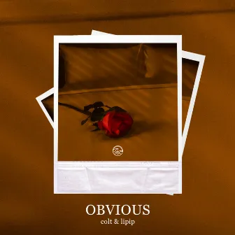 Obvious by Colt