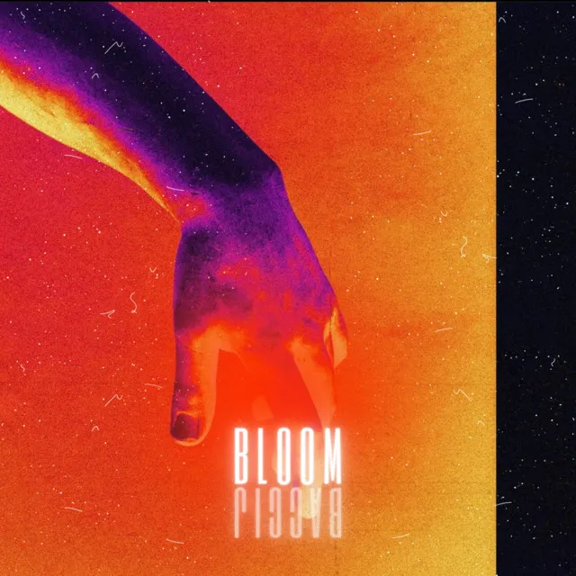 Bloom