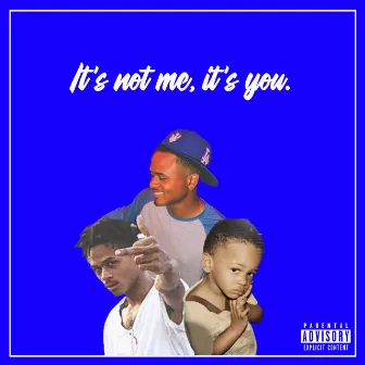 It's Not Me, It's You by Lou Charles