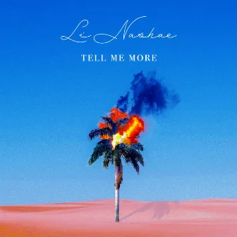 Tell Me More by Li Nashae