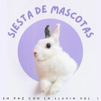 Siesta De Mascotas: En Paz Con La Lluvia Vol. 1 by Música de mascotas relajante