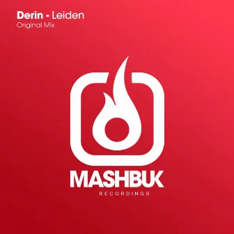 Leiden by Derin