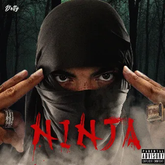 Ninja by Dotty