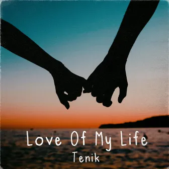 Love Of My Life by Tenik