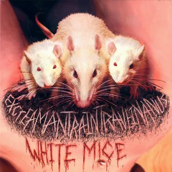 ExCreaMantraIntraVeinanus by The White Mice