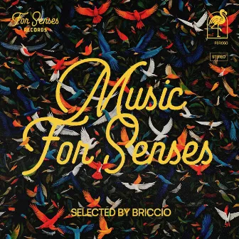 Music for Senses - ADE 2024 Compiled by BRICCIO (DJ Mix) by BRICCIO