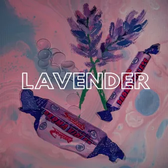 Lavender by Olly Davies