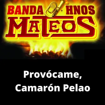 Provócame, Camarón Pelao by Banda Hermanos Mateos