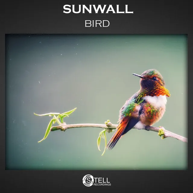 Sunwall