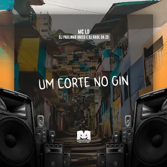 Um Corte no Gin by DJ Raul da ZO