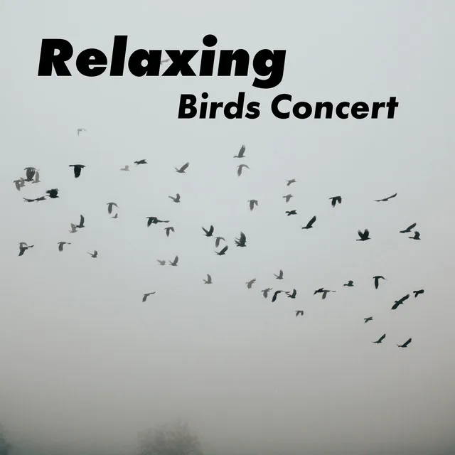 Relaxing Birds Concert – Collection of Stunning Animals Sounds with Gentle Piano