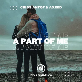 A Part Of Me by Criss Antof