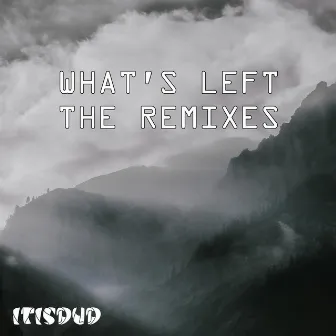 What's Left (The Remixes) by twyn!b