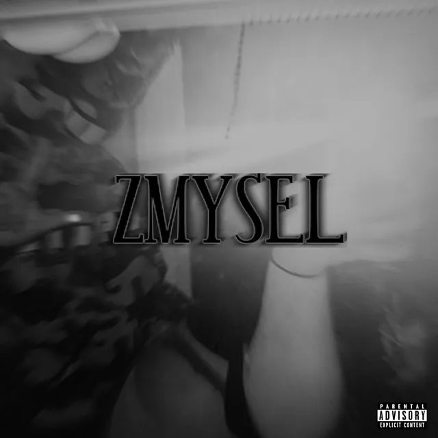 zmysel.