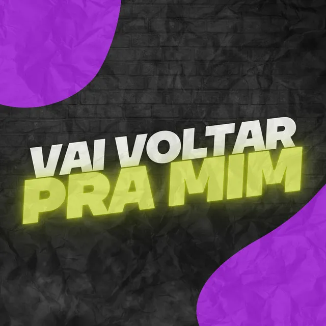 Vai Voltar Pra Mim