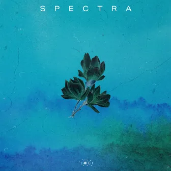 Spectra by TENEM