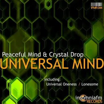 Universal Mind by Peaceful Mind