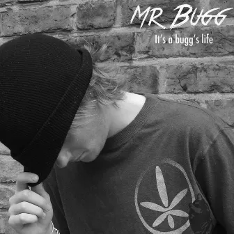 It's a Bugg's Life by Mr Bugg