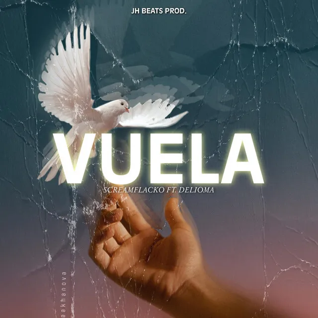 Vuela