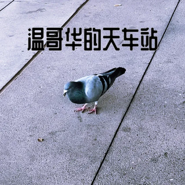 温哥华的天车站