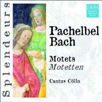 DHM Splendeurs: Pachelbel/Bach: Motets by Cantus Cölln