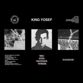 The Ever Growing Wound by King Yosef