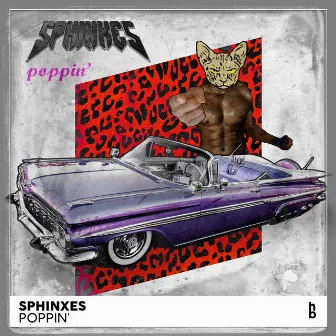 Poppin' by Sphinxes