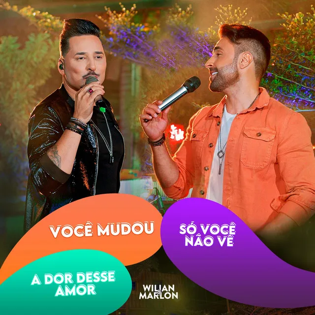 A Dor Desse Amor / Você Mudou / Só Você Não Vê (Ao Vivo)