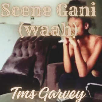 SCENE GANI by TMS GARVEY