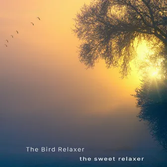 The Sweet Relaxer by The Bird Relaxer