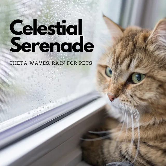 Celestial Serenade: Theta Waves, Rain for Pets