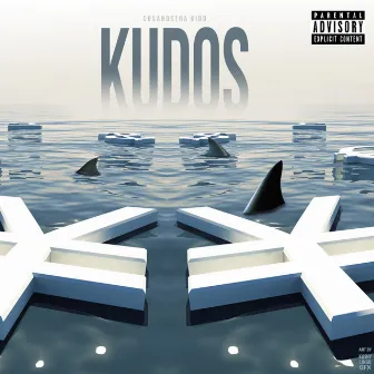 Kudos by CosaNostra Kidd