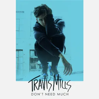 Don't Need Much by Travis Mills