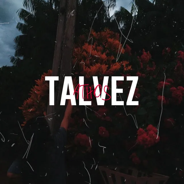 Talvez