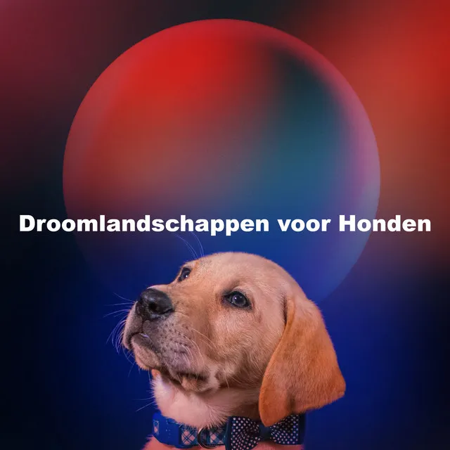 Droomlandschappen voor Honden