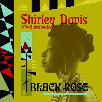 Black Rose by Shirley Davis