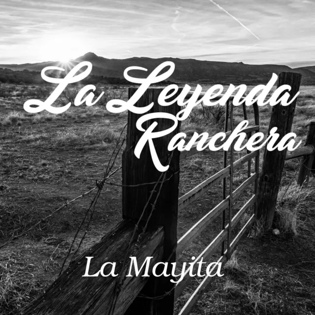 La Mayita